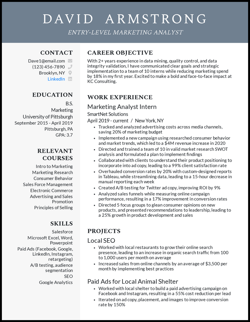 Marketing Professional Resume